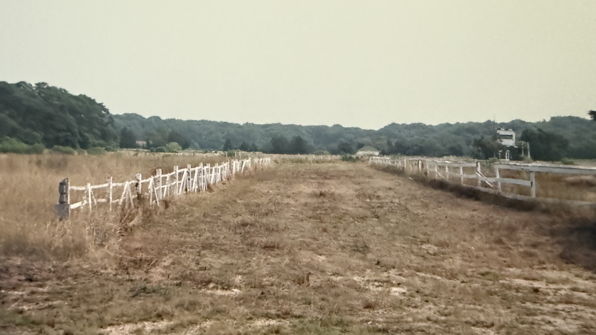 Between Rings Before Renovations