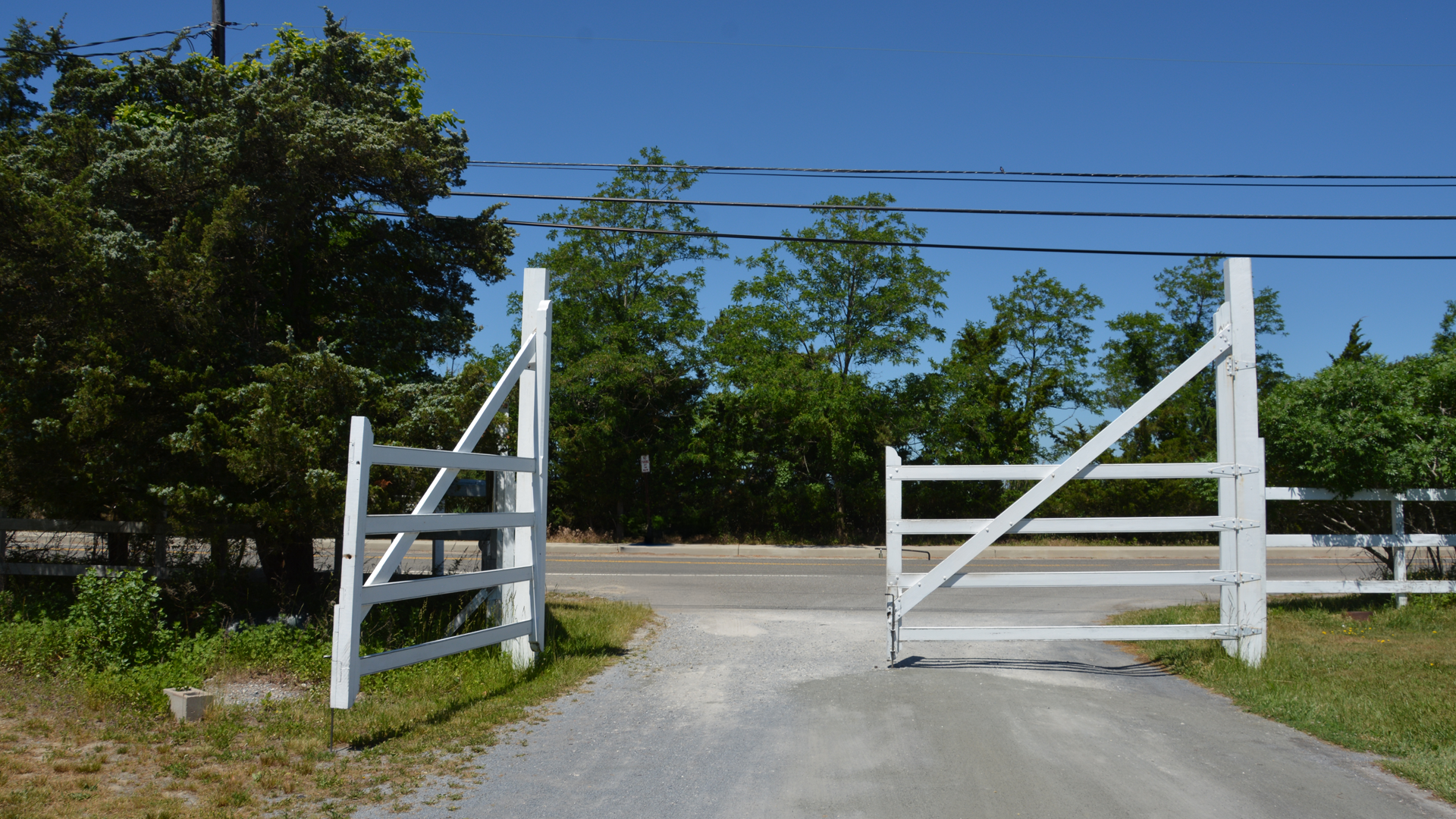 Gate After Renovations