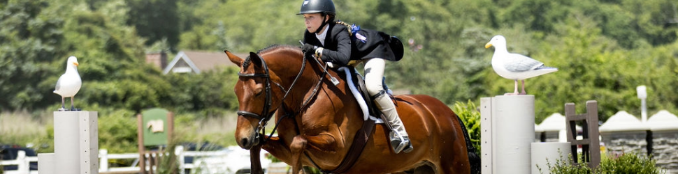 Horse Shows Banner